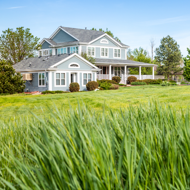 Green House